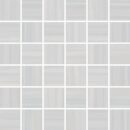 2x2 Dolenza White Mosaic Matte