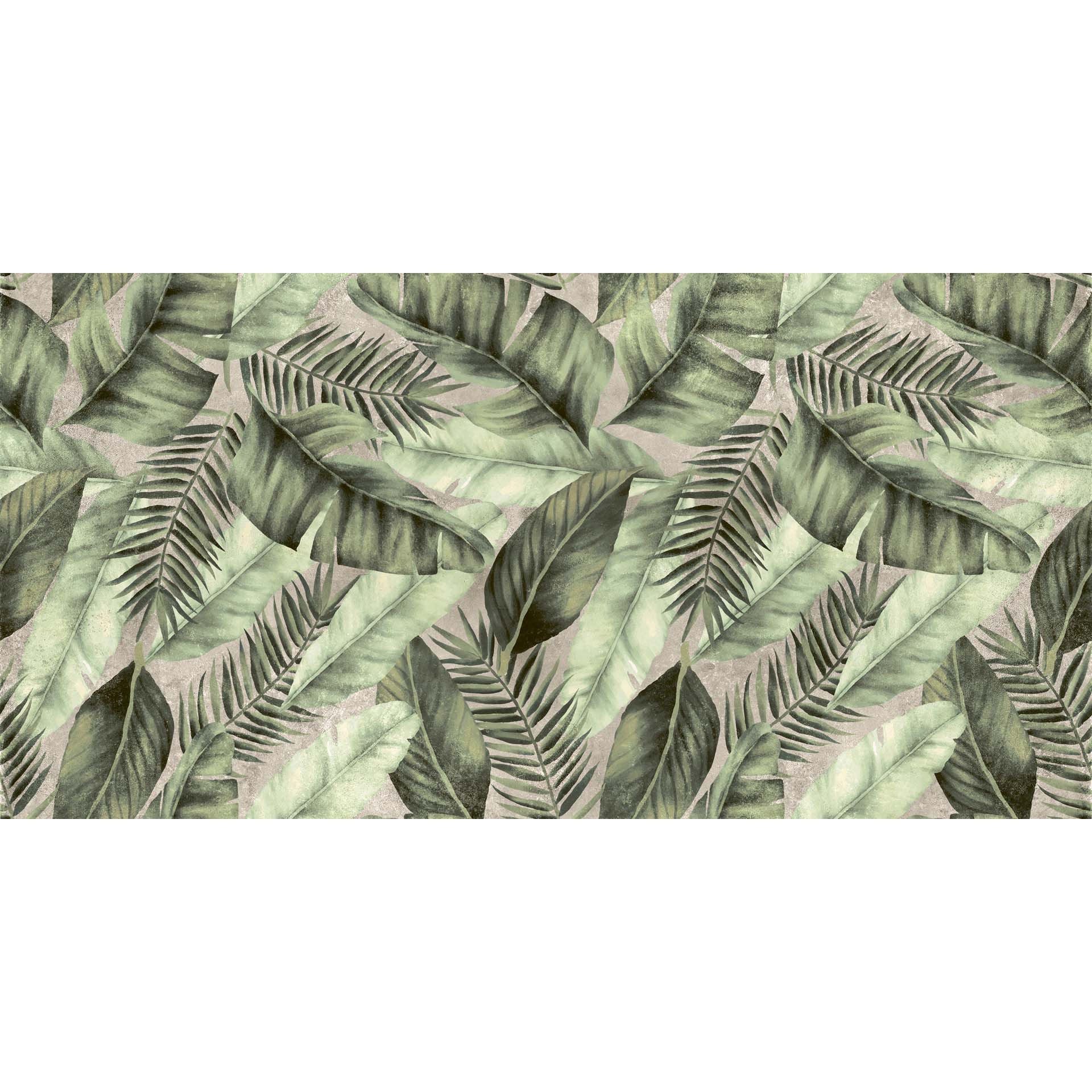 24x48 Canvas Selva Matte