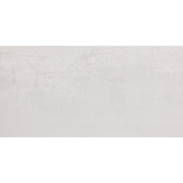 12x24 Forge Silver Matte