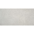 24x48 Lustra Grey Polished