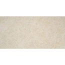 24x48 Lustra Natural Matte