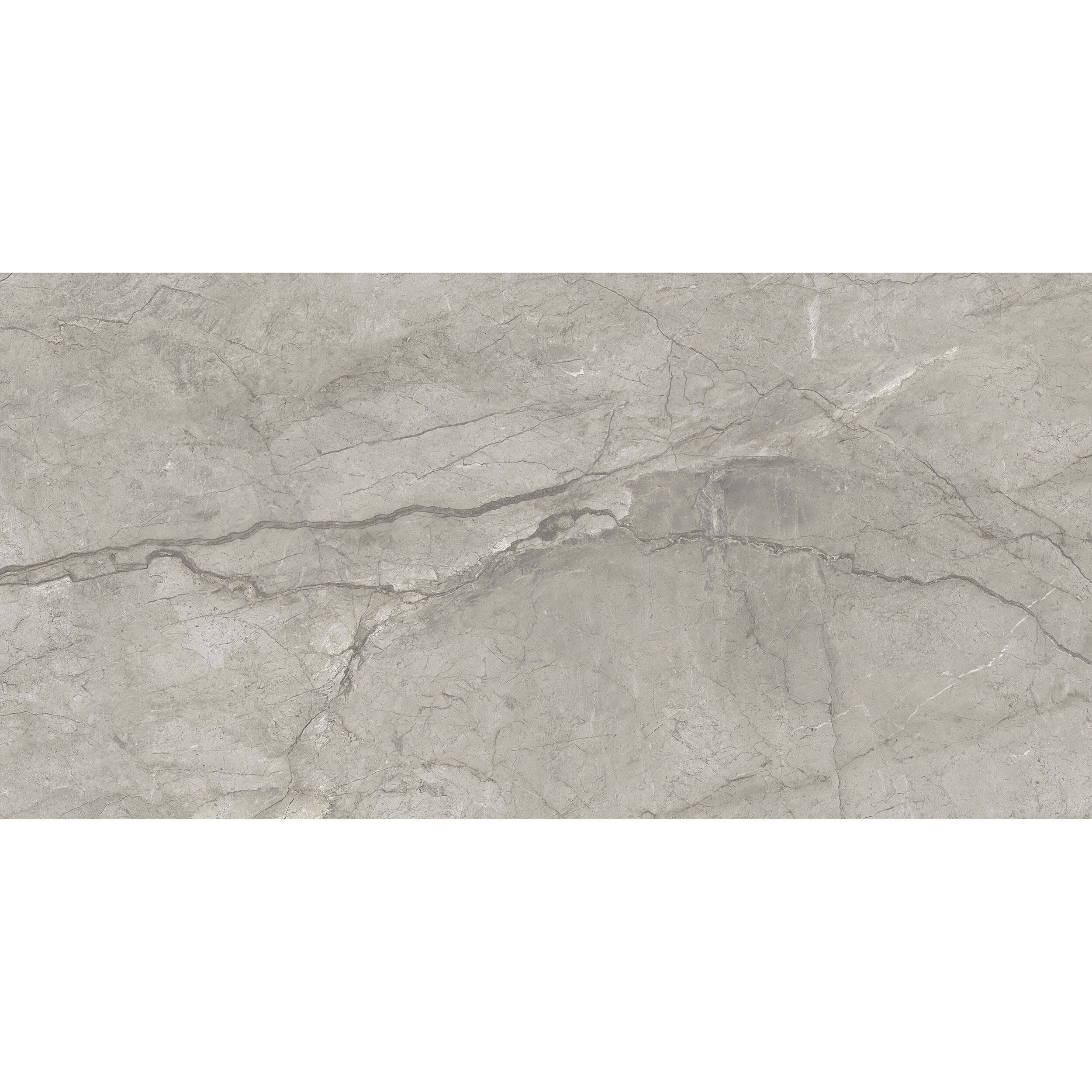 24x48 Majesta Grigio Sovrano Matte