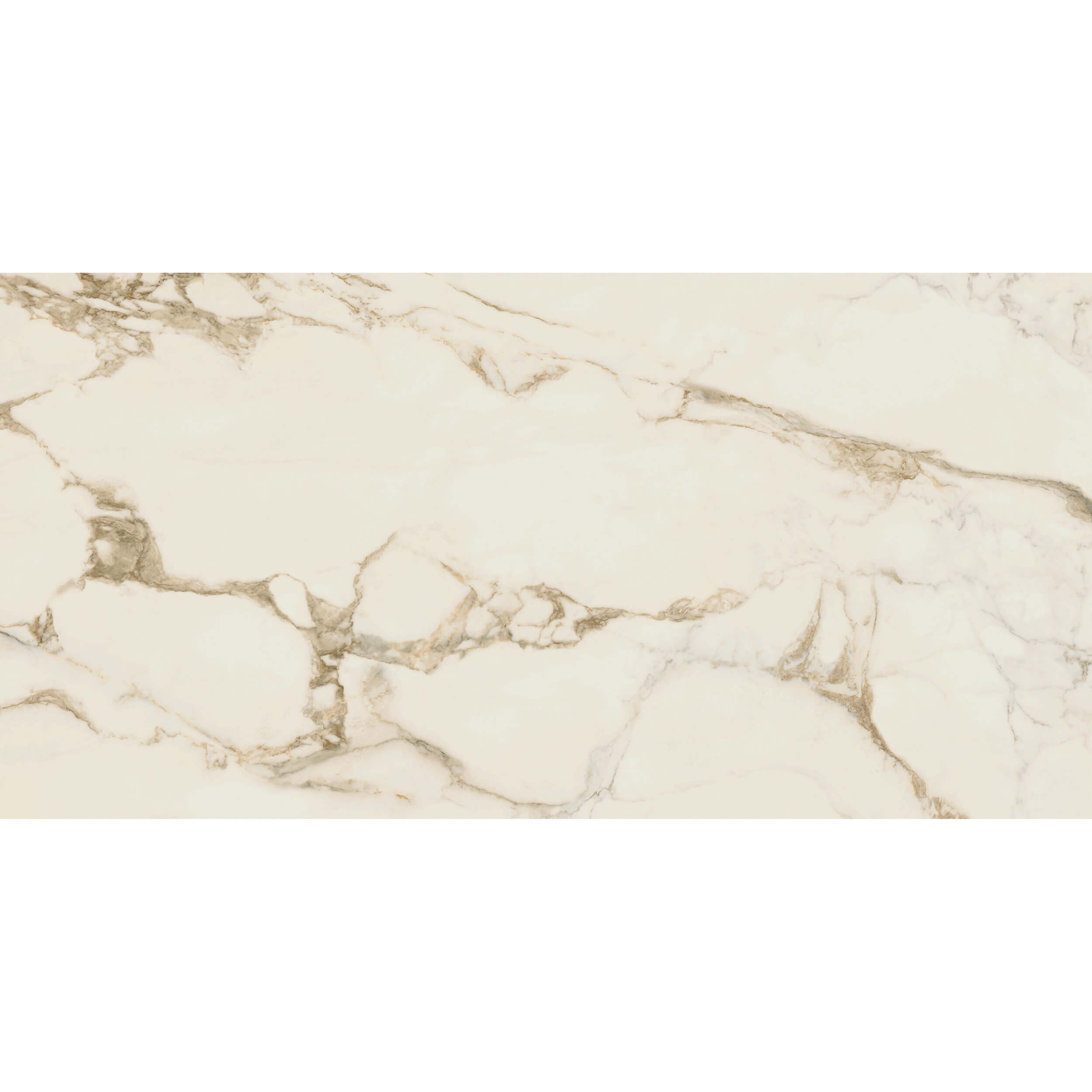 12x24 Majesta Calacatta Oro Polished