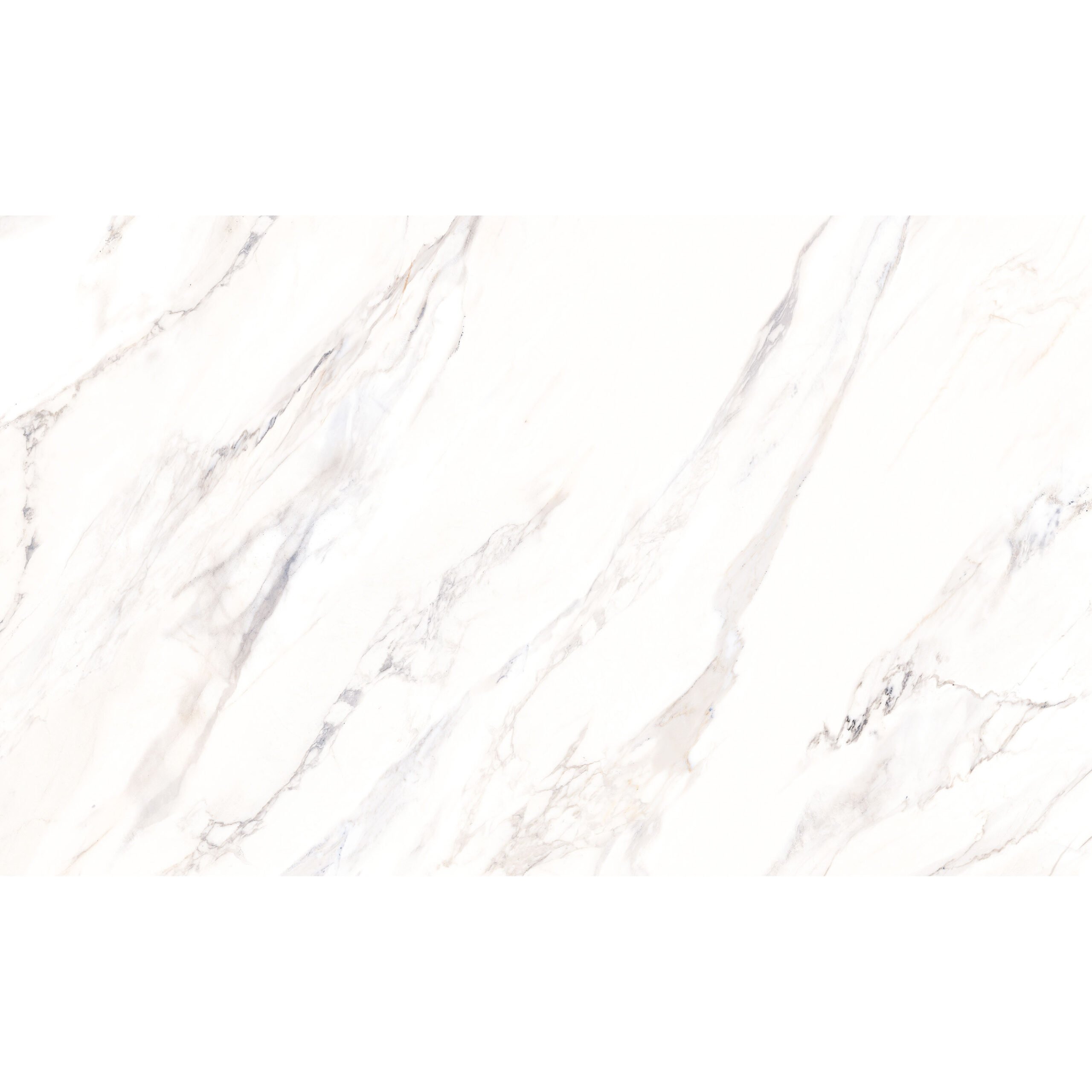 12x24 Pietrina Argento Shiny