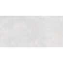 24x48 Serenity Ash Polished