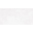 24x48 Serenity Opal Polished