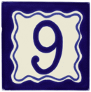 4X4 BLUE TALAVERA HOUSE #9