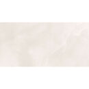 12x24 Celestra Lunar Matte