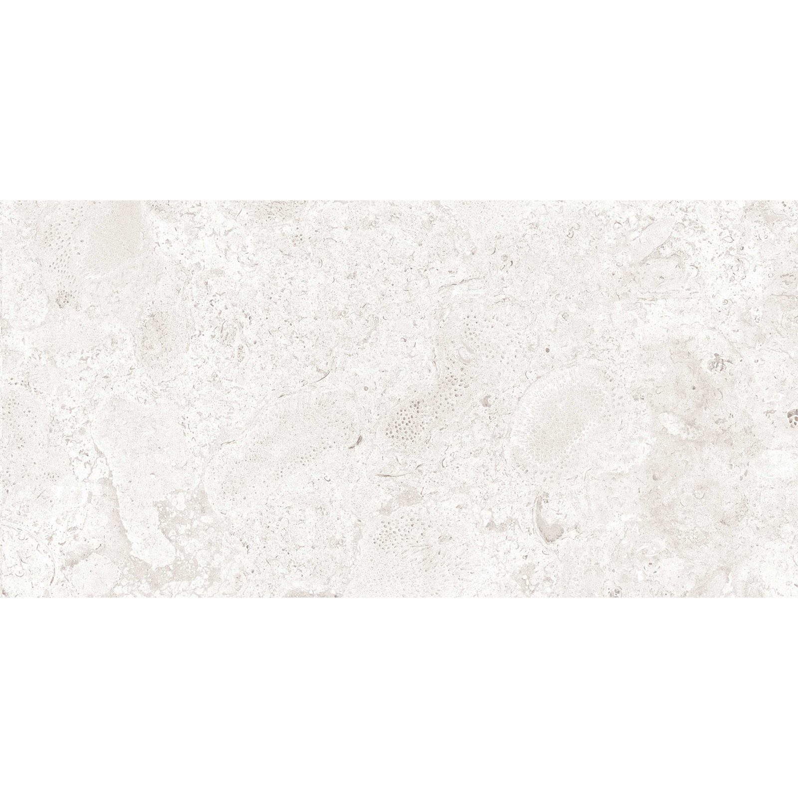 12x24 Nautica Oyster Matte