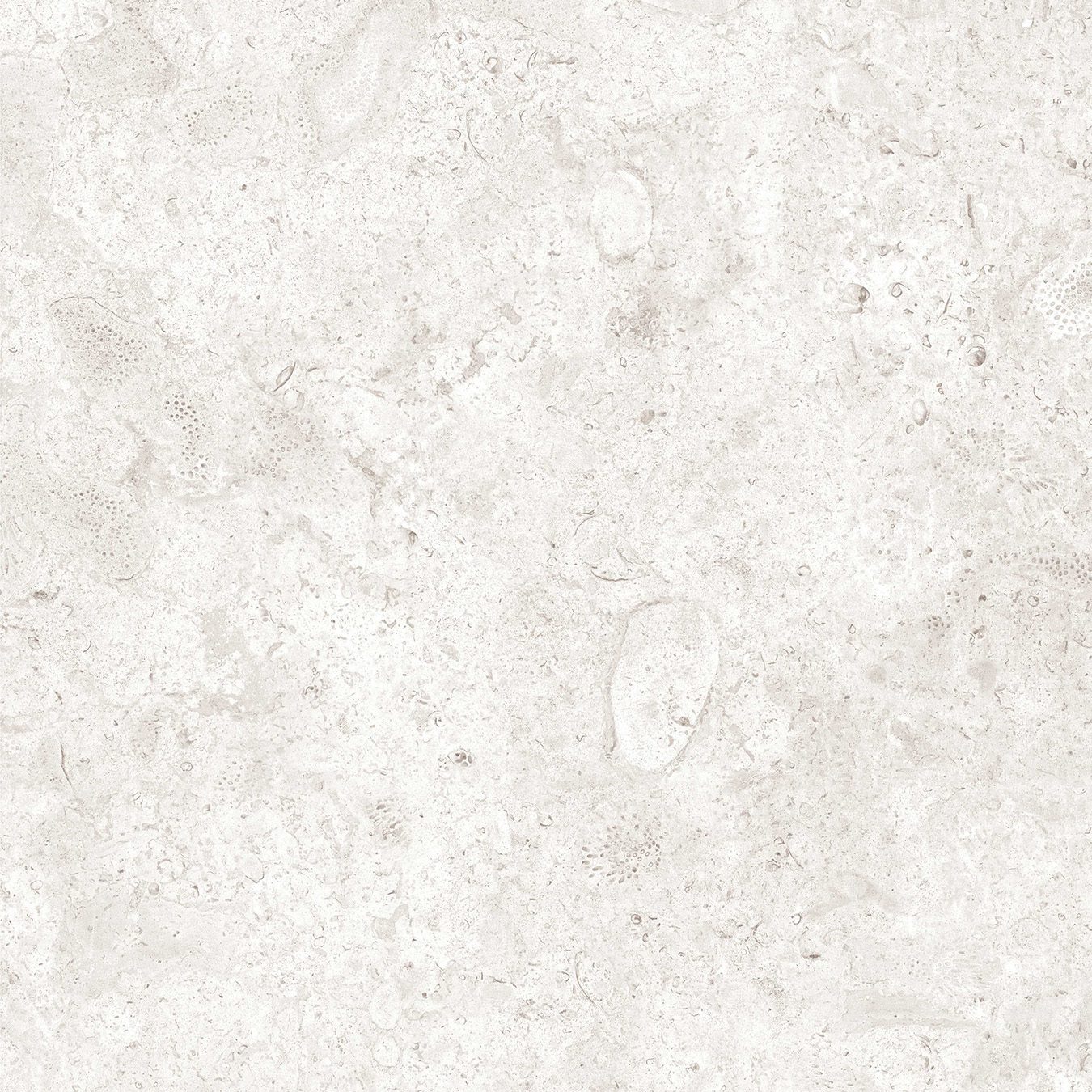 DFC-Nautica-24x24-Oyster Matte-Porcelain-001