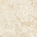 24x24 Nautica Seashell 2CM Paver