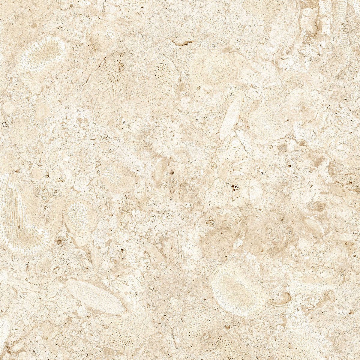 24x24 Nautica Seashell 2CM Paver