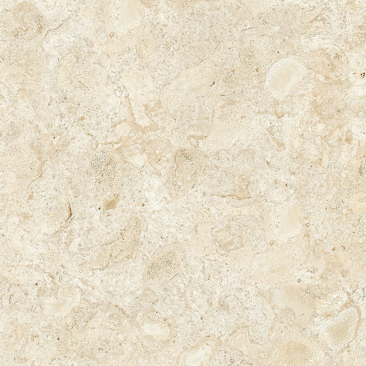 32x32 Nautica Seashell Matte